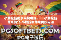 小勐拉新葡京网投电话-一、小勐拉新葡京简介-小勐拉新葡京网投电话