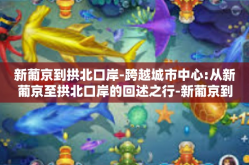 新葡京到拱北口岸-跨越城市中心:从新葡京至拱北口岸的回述之行-新葡京到拱北口岸