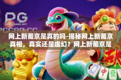 网上新葡京是真的吗-揭秘网上新葡京真相，真实还是虚幻？网上新葡京是真的吗