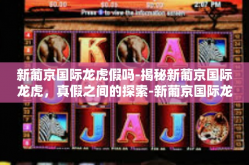 新葡京国际龙虎假吗-揭秘新葡京国际龙虎，真假之间的探索-新葡京国际龙虎假吗