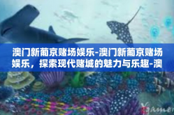 澳门新葡京赌场娱乐-澳门新葡京赌场娱乐，探索现代赌城的魅力与乐趣-澳门新葡京赌场娱乐