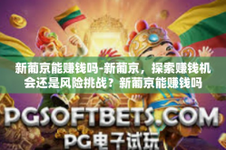 新葡京能赚钱吗-新葡京，探索赚钱机会还是风险挑战？新葡京能赚钱吗