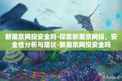 新葡京网投安全吗-探索新葡京网投，安全性分析与建议-新葡京网投安全吗
