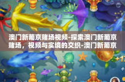 澳门新葡京赌场视频-探索澳门新葡京赌场，视频与实境的交织-澳门新葡京赌场视频
