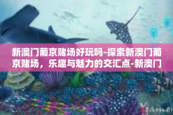 新澳门葡京赌场好玩吗-探索新澳门葡京赌场，乐趣与魅力的交汇点-新澳门葡京赌场好玩吗