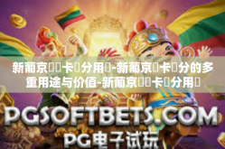 新葡京賔賓卡積分用處-新葡京賓卡積分的多重用途与价值-新葡京賔賓卡積分用處