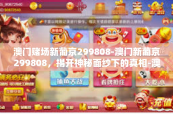 澳门赌场新葡京299808-澳门新葡京299808，揭开神秘面纱下的真相-澳门赌场新葡京299808