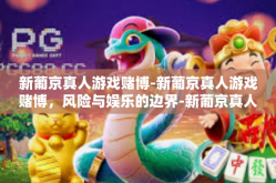 新葡京真人游戏赌博-新葡京真人游戏赌博，风险与娱乐的边界-新葡京真人游戏赌博