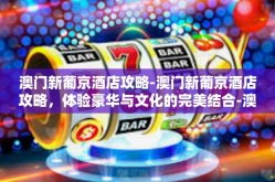 澳门新葡京酒店攻略-澳门新葡京酒店攻略，体验豪华与文化的完美结合-澳门新葡京酒店攻略