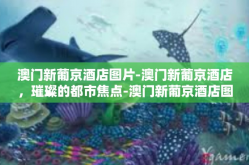 澳门新葡京酒店图片-澳门新葡京酒店，璀璨的都市焦点-澳门新葡京酒店图片