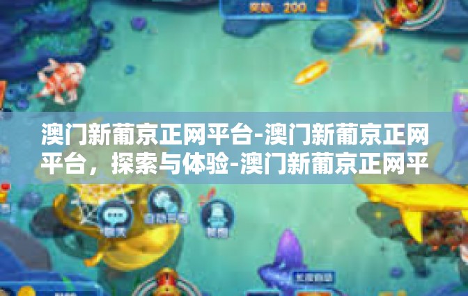 澳门新葡京正网平台-澳门新葡京正网平台，探索与体验-澳门新葡京正网平台