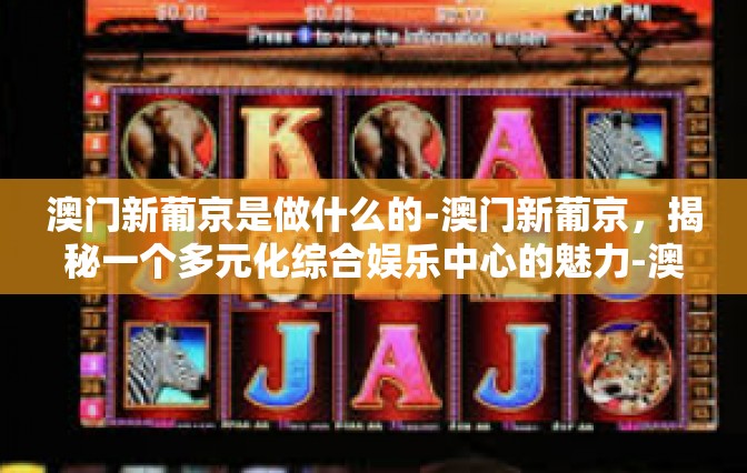 澳门新葡京是做什么的-澳门新葡京，揭秘一个多元化综合娱乐中心的魅力-澳门新葡京是做什么的
