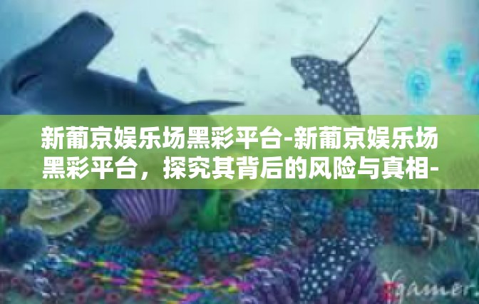 新葡京娱乐场黑彩平台-新葡京娱乐场黑彩平台，探究其背后的风险与真相-新葡京娱乐场黑彩平台