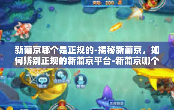 新葡京哪个是正规的-揭秘新葡京，如何辨别正规的新葡京平台-新葡京哪个是正规的